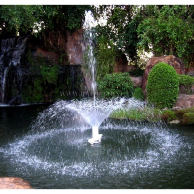 Vòi phun Morning Glory Calyx